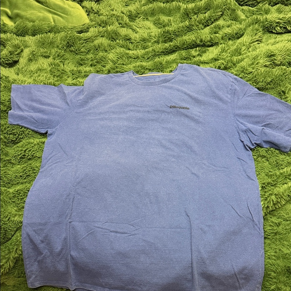 Patagonia Blue Men's Shirt